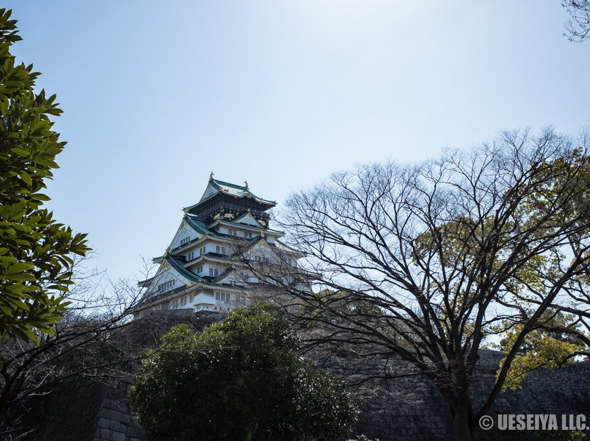 やっぱり大阪城も撮る