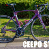 CEEPO STINGER