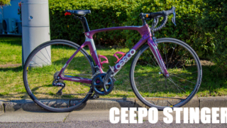 CEEPO STINGER