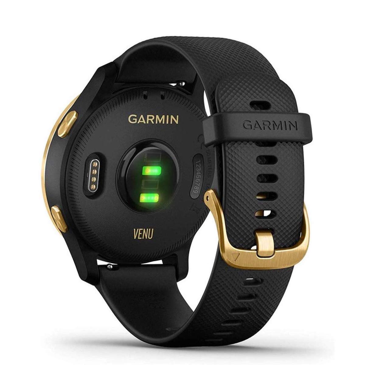 GARMIN Venuの裏側